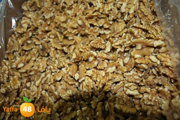 zhra2 tamer 705 (4).JPG